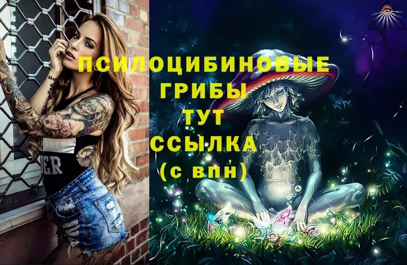 Псилоцибиновые грибы Magic Shrooms  мега ONION  Верхоянск 